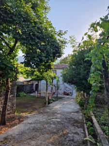 Zhulat Ecovillage - Guesthouse