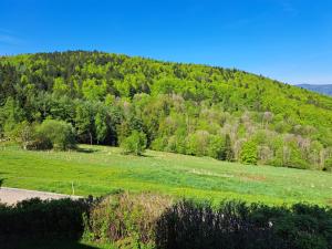 Ferienland Sonnenwald Ferienwohnung im Sonnenwald Apartment 5