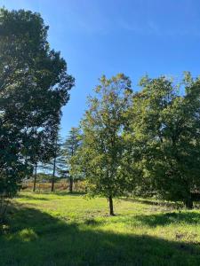 Appartamento in casale Umbro vicino Orvieto - Allerona