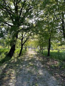 Appartamento in casale Umbro vicino Orvieto - Allerona