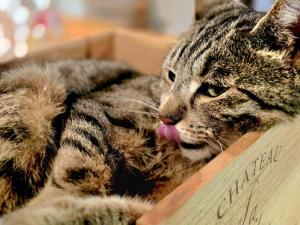 Konsdreffermillen B&B