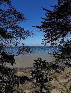 Maisons de vacances DinanCoteCampagne : photos des chambres