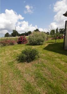 Maisons de vacances DinanCoteCampagne : photos des chambres