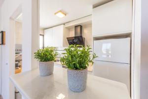 Beach, Pool & Balcony - SimplyTarifa