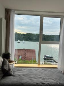 Forest & Lake Mikołajki