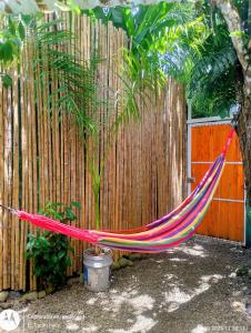 El Tucan Feliz - La Casita Caribeña, Bikes & Hammocks & Playa Cocles