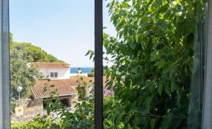 Casa Vella de Casa Torrent