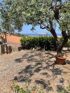 Villa Mustaro R img22