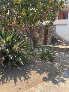 Villa Mustaro R img23