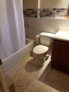 Ajs Treasure -gated with pool in Ocho Rios