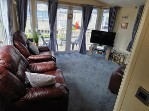 Pg50 PALM GROVE GOLDEN PALM CHAPEL ST LEONARD