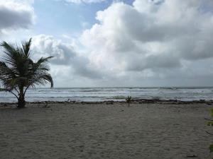 La Bonita, hermosas cabañas frente al mar