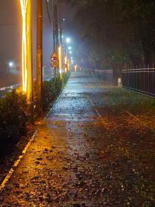 Private Room in Voluntari Quiet & Cozy Stay