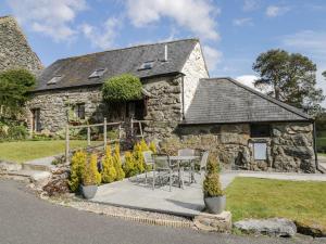 Cyffdy Cottage - Tegid