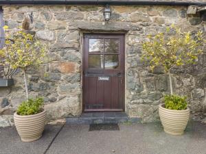 Cyffdy Cottage - Arenig