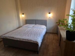 Pod srebrną różą