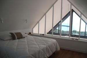 Marie Galante - vue mer et jardin