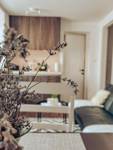 Apartments Ivanović 