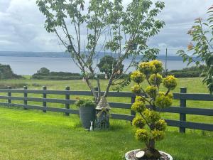 Seaview Glamping Cabin Inishowen