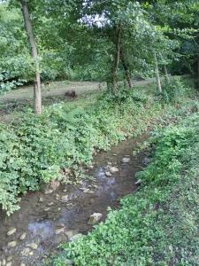 Vila SVITAC Banja Vrujci