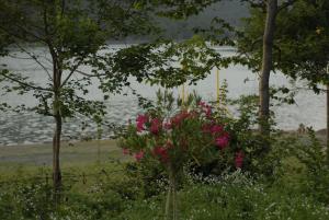 Cottage Naiosi
