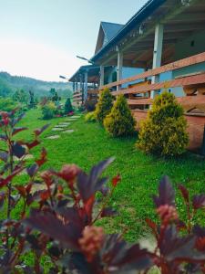 Domki w Bieszczadzkiej Dolinie