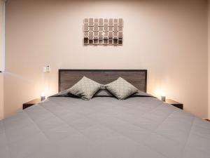 307 Spacious AC apt Historic CDMX Rooftop