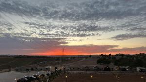 Wadi Al-Wala View Camp