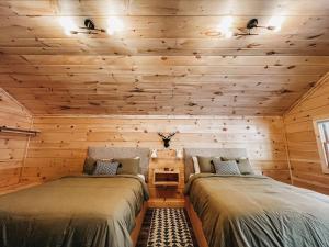 Cabin #6 Studio with Kitchenette