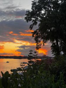 Forest & Lake Mikołajki
