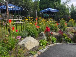 Y Gwydyr Hotel - Dolwyddelan