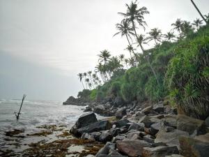 Green Garden Mirissa