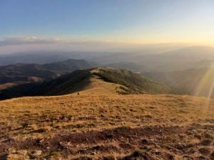 KonKal - Royal resort