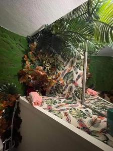 Maison DonaSete T3