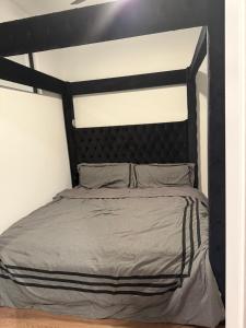 Modern and Luxurious Home