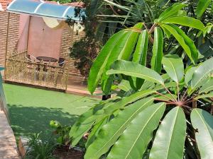 Casa Natureza Viva para grupos em São Paulo - SP