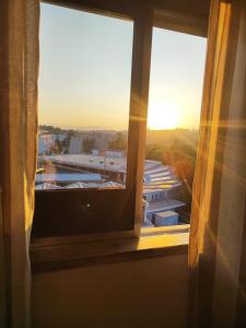 Flor da Providência