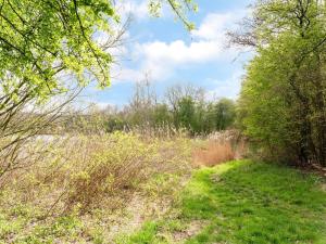 Holiday home in Elim for family