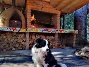 Cabañita del Árbol Cóndor