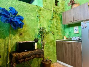 Private suite with private bathroom - Wonderland B&B - Shuttle services available