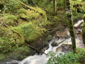 Gîte douillet avec terrasse, jardin et cheminée à Saint-Priest-la-Prugne - FR-1-496-348