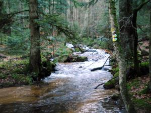 Gîte douillet avec terrasse, jardin et cheminée à Saint-Priest-la-Prugne - FR-1-496-348