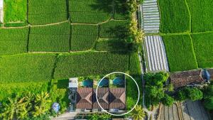 Villa Intimissimo - Vibrations of Love&Happiness 3