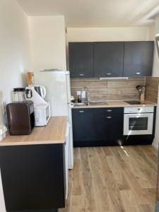 Appartement calme vue mer côte sauvage Quiberon