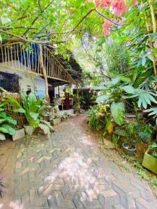 Art house hiriketiya