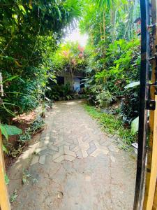 Art house hiriketiya