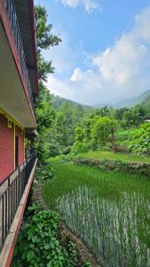 Tapovan Cascades Yogvillage Stay