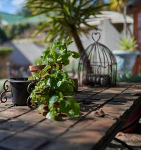 84 on Fourth Guest House