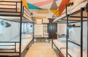 Whiite Panda - Backpacker Hostel in Delhi Greater Kailash