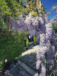 B&B / Chambres d'hotes Maison d'hote Les Allois : photos des chambres